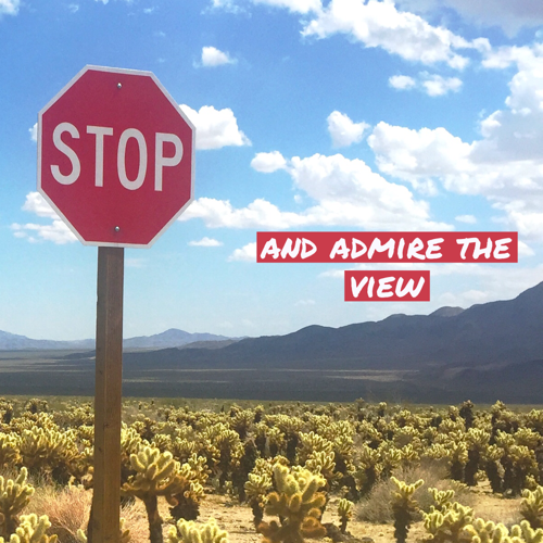 Red stop sign in the Californian desert, beside a field of cholla cacti, with the additional words "and admire the view" appended