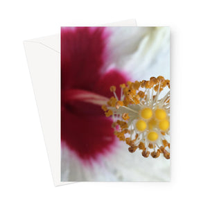 Greeting card showing macro image of an hibiscus flowerhead with crimson, orange and yellow colouring