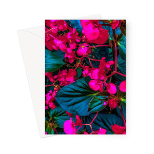 Bright pink begonias on a greeting card