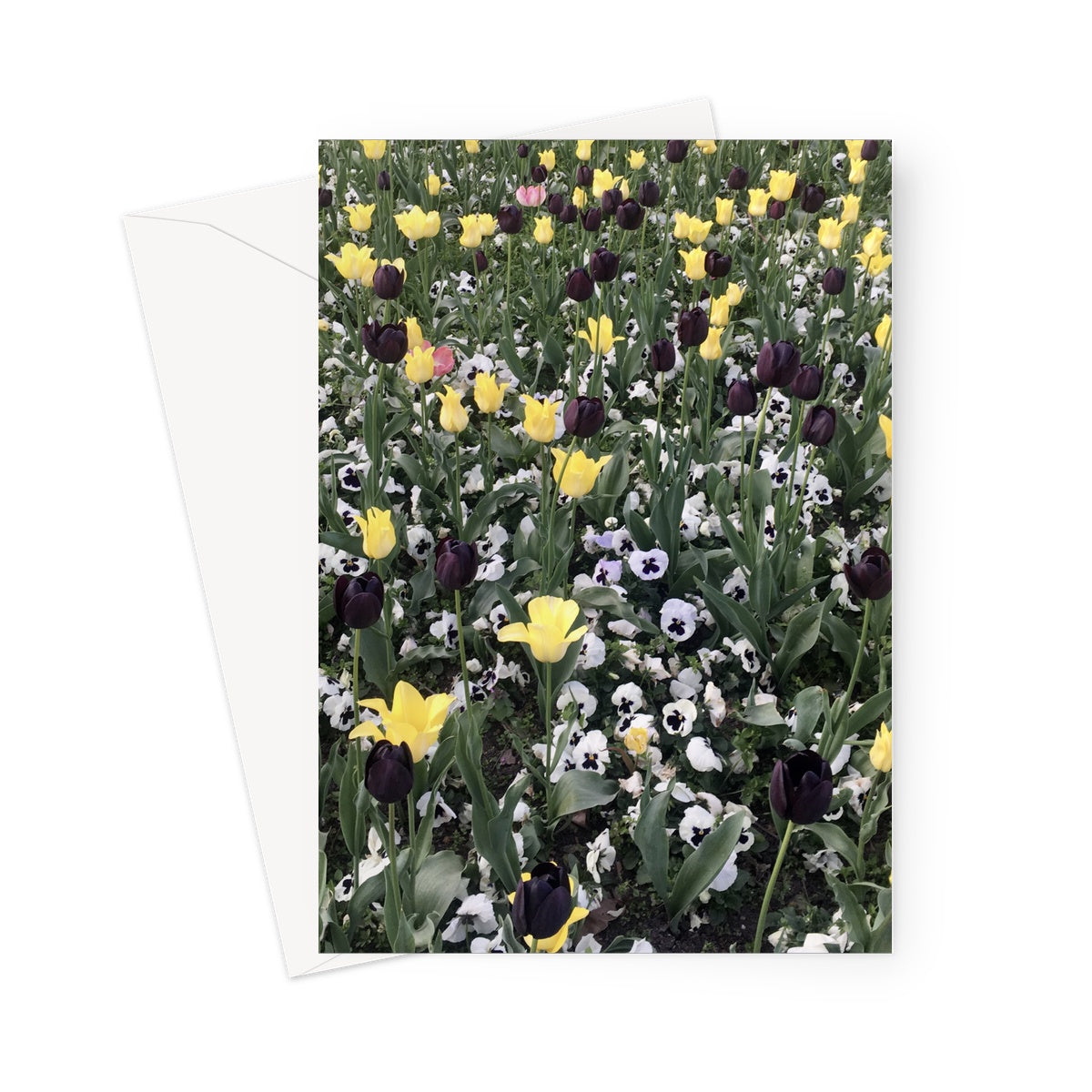 Flower bed - Greeting Card