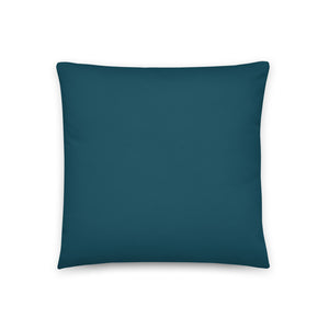 This bright and bold colourful sofa pillow has a gorgeous blue-green teal tone that will provide a perfect retro hint to our living space
