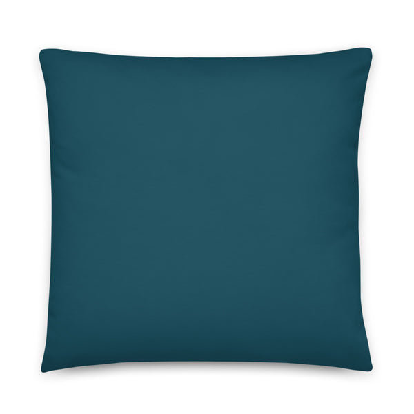 This bright and bold colourful sofa pillow has a gorgeous blue-green teal tone that will provide a perfect retro hint to our living space