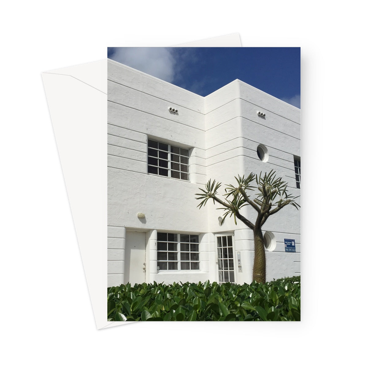 This greeting card shows a white Art Deco building with geometric shapes next to a lovely Madagascar palm in the front garden.