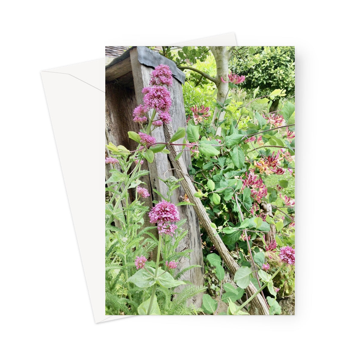 Greeting card shows an old wooden cottage well pump surrounded by pink Valerian and Honeysuckle 
