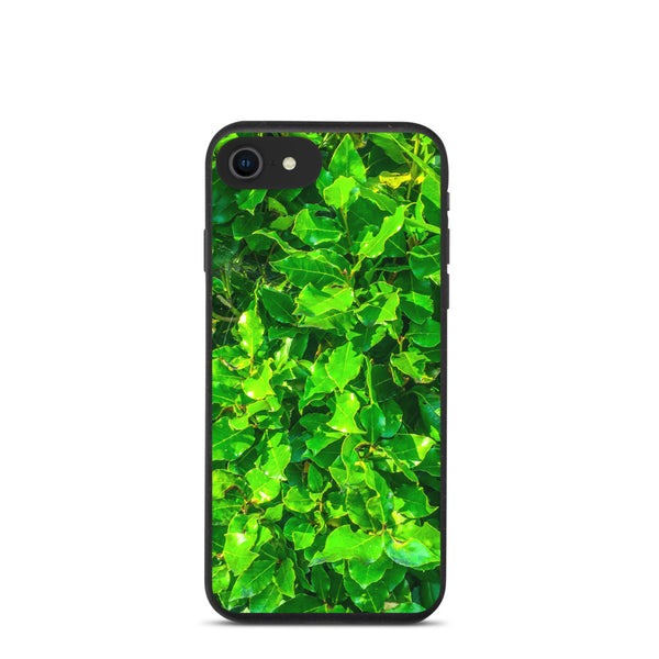 Biodegradable phone case | Bay Leaves