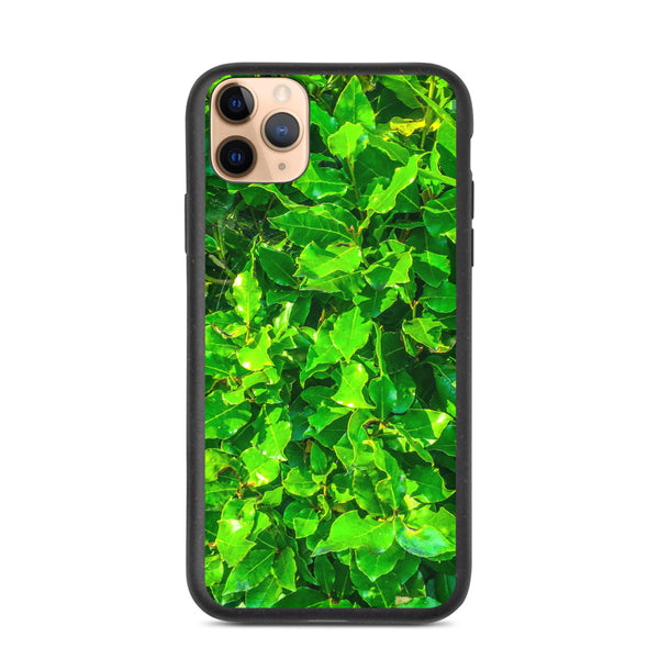 Biodegradable phone case | Bay Leaves
